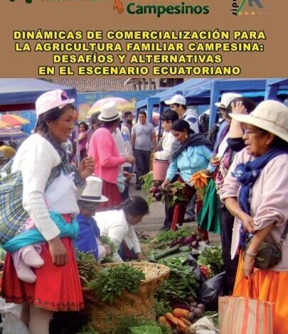 dinamicas_comercializacion_avsf_ecuador_2014