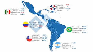 Latinoamérica: según el USDA la región aumentaría su producción ...