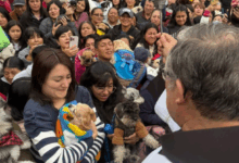 Celebran bendición de animales en la Iglesia Loma de Quito en Riobamba
