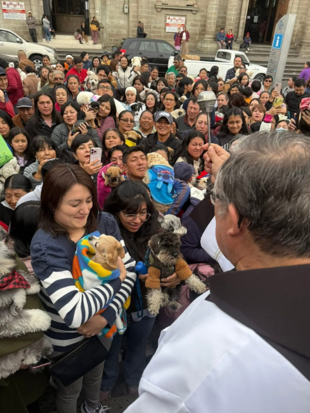 Celebran bendición de animales en la Iglesia Loma de Quito en Riobamba