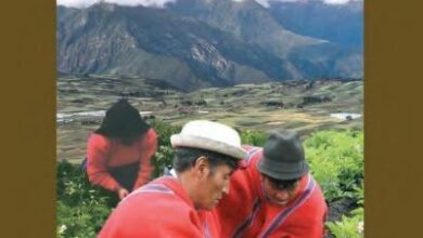 De la voz y mano de sus protagonistas: el caso de Ecuador ...