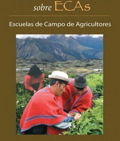 De la voz y mano de sus protagonistas: el caso de Ecuador ...