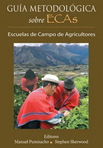De la voz y mano de sus protagonistas: el caso de Ecuador ...