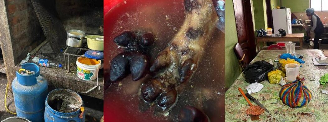 Arcsa halla alimentos podridos y pezuñas crudas en baldes en un ...