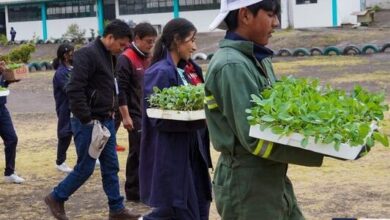 HUERTOS ESCOLARES SE IMPLEMENTARÁN EN LAS U.E. DE ...