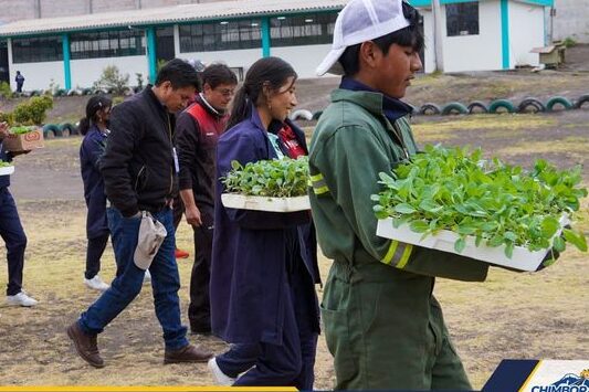 HUERTOS ESCOLARES SE IMPLEMENTARÁN EN LAS U.E. DE ...