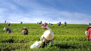 LA “AGRICULTURA BAJO CONTRATO”: CONTRIBUCION AL DEBATE TEORICO ...