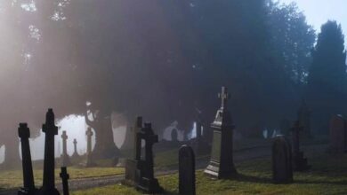 Los 11 cementerios más espeluznantes de Los Ángeles y alrededores ...