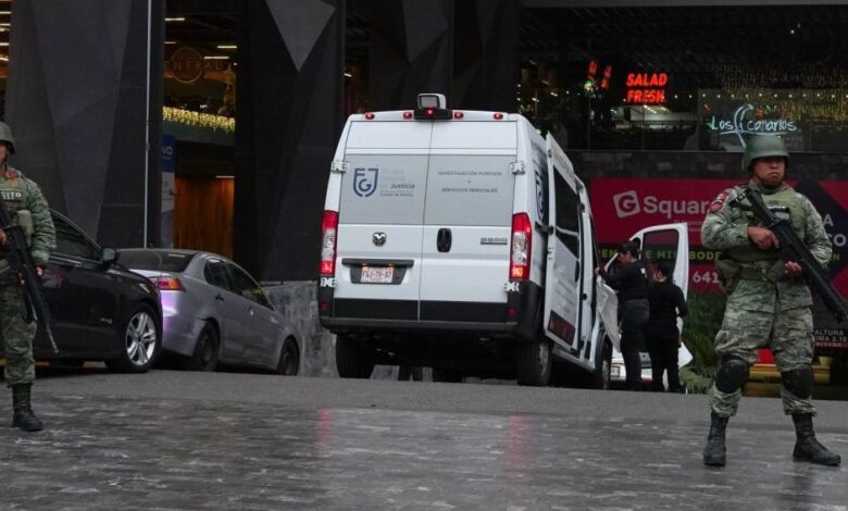Los crímenes en plazas comerciales que evidencian las fallas de la ...