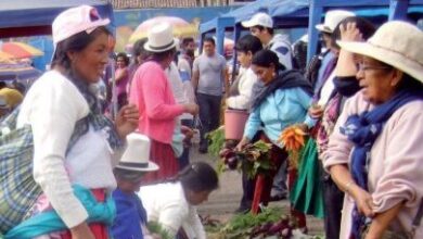 dinamicas_comercializacion_avsf_ecuador_2014