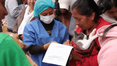 Riobamba se une a jornada latinoamericana de esterilización masiva