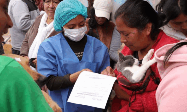 Riobamba se une a jornada latinoamericana de esterilización masiva