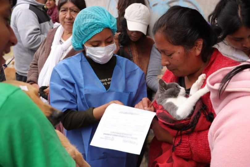 Riobamba se une a jornada latinoamericana de esterilización masiva