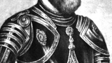 PDF) CASO: VEEDURÍA CIUDADANA A LA REFORMA PARTICIPATIVA DEL ...