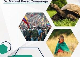 completo - filmora trabajo | Flip PDF en línea | FlipHTML5