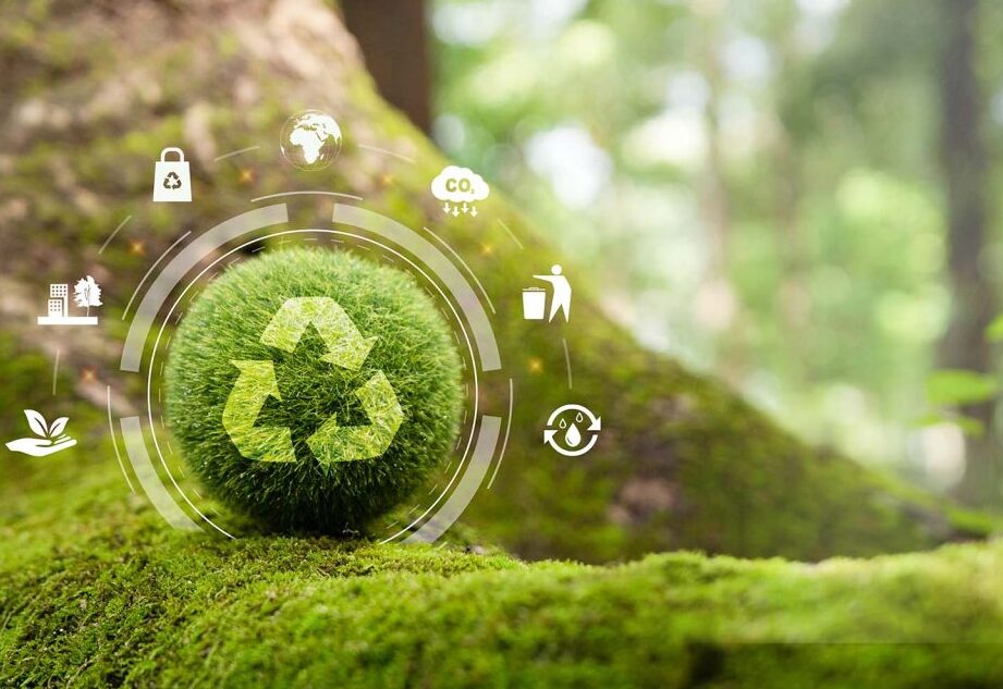 Innovación en gestión de residuos: estrategias | Inteco Astur