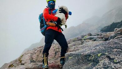 Lilia Yunda (@Lilia_Yunda) / Posts / X