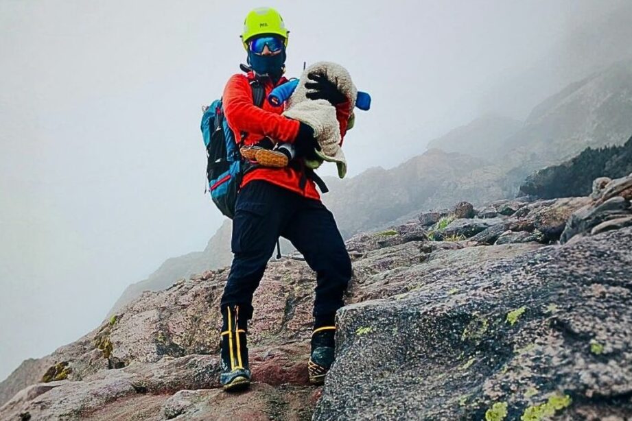 Lilia Yunda (@Lilia_Yunda) / Posts / X