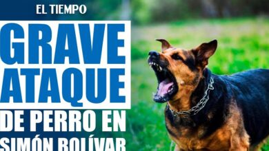 Hombre queda herido tras ser atacado por un perro mientras entrenaba en el  Simón Bolívar | EL TIEMPO