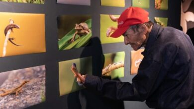 Alcaldía de Manizales celebra el mes de la persona mayor con ...