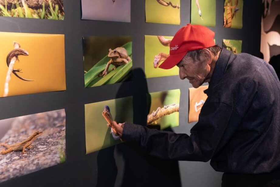 Alcaldía de Manizales celebra el mes de la persona mayor con ...