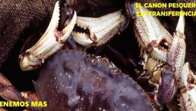 CAMBIO CLIMÁTICO y DESASTRES NATURALES