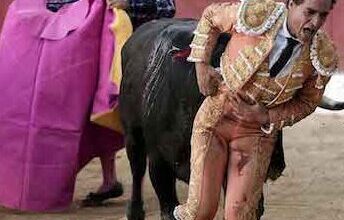 Los toros dan y quitan