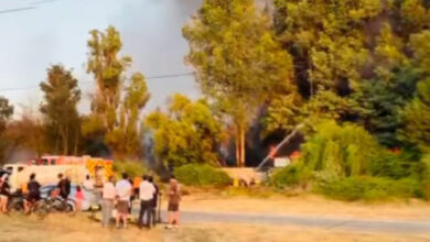 Bomberos de Talca combate incendio forestal en camino a San ...
