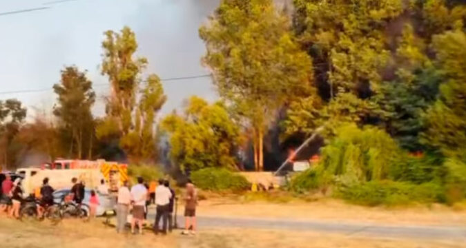 Bomberos de Talca combate incendio forestal en camino a San ...