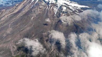Mostrando artículos por etiqueta: chimborazo - Instituto Geofísico ...