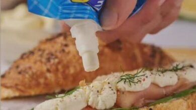 Riesgos de Consumir Carne de Armadillo: Mal de Chagas