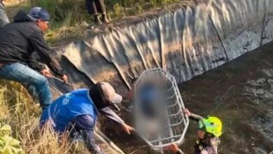 Dos menores murieron ahogados en un reservorio de agua en Pull ...