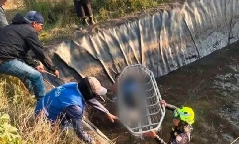 Dos menores murieron ahogados en un reservorio de agua en Pull ...