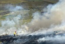 Incendio forestal en Chimborazo: 400 hectáreas de bosque ...
