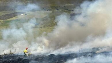 Incendio forestal en Chimborazo: 400 hectáreas de bosque ...