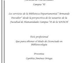 Calaméo - Los servicios de la Biblioteca Departamental “Armando ...