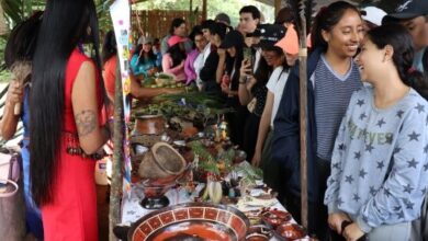 archive_noticias - Universidad Central del Ecuador