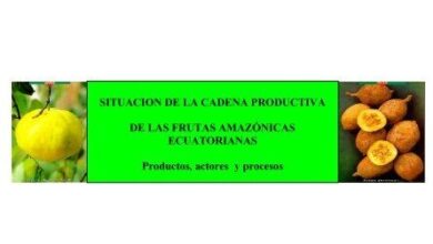 Escuela Superior Politécnica de Chimborazo - 🇭🇺Politécnicos ...