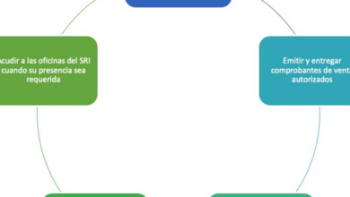 Procedimientos tributarios en la compañía Libertadores Libertaxis ...