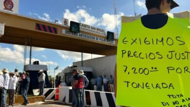 🌽🚨 || Agricultores alzan la voz Campesinos del país exigen un aumento de 2 pesos por kilo de maíz, ya que actualmente les pagan entre 4 y 5 pesos por kilo, mientras que el precio de la tortilla se ...