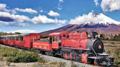 Apoyo a rehabilitación del Tren Ecuador en ruta Nariz del Diablo ...