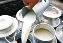 Venta directa de leche a la industria, beneficiará a pequeños ...
