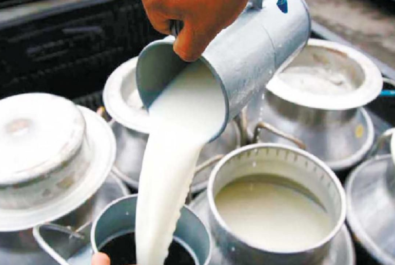 Venta directa de leche a la industria, beneficiará a pequeños ...