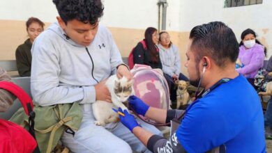 Myriam Patricia Carrillo Guadalupe (@mcgtvmediosdigitales ...