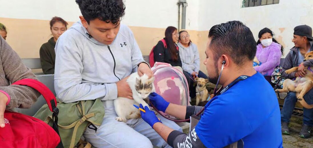 Myriam Patricia Carrillo Guadalupe (@mcgtvmediosdigitales ...