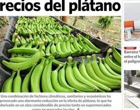 Crisis en el Sistema Judicial de Chimborazo: Escasez de Jueces ...