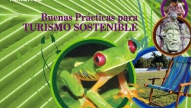 Noticias anfibios Ecuador