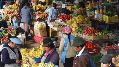 Viaje a Riobamba y circuitos a medida (Ecuador) | Evaneos