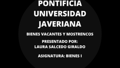 BIENES VACANTES Y MOSTRENCOS by laura salcedo
