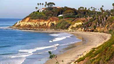 Swami's Beach - YoNinja - Restaurants, Hotels, and Reviews